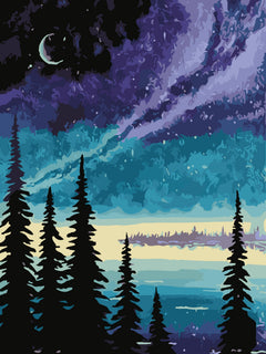 Frameless DIY 40x50 Oil Painting for Home Decor